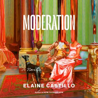 Moderation: A Novel