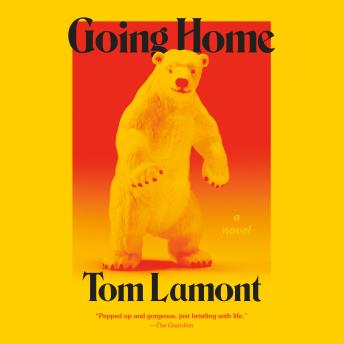 Going Home: A Novel