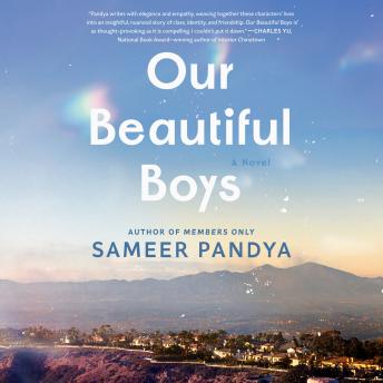 Our Beautiful Boys: A Novel