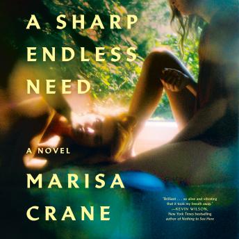 A Sharp Endless Need: A Novel