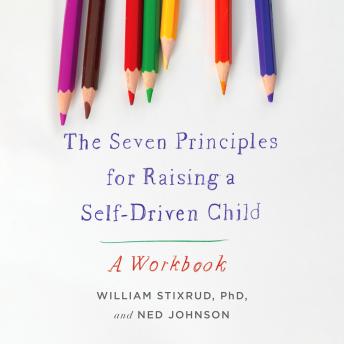 Seven Principles for Raising a Self-Driven Child: A Workbook - Ned Johnson