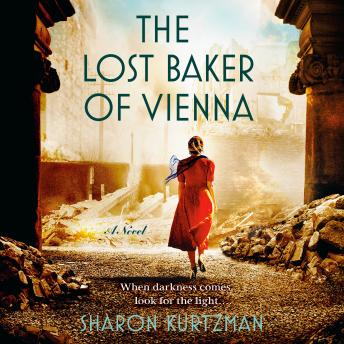 The Lost Baker of Vienna: A Novel