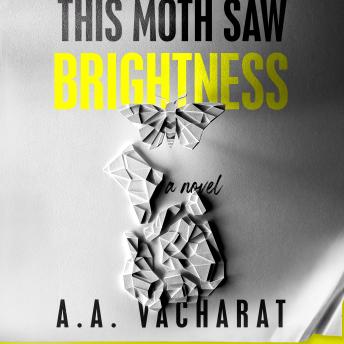 This Moth Saw Brightness