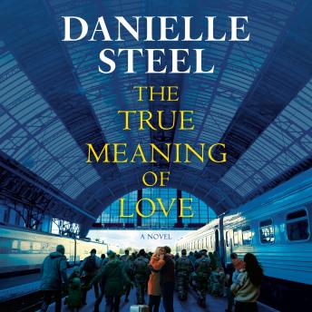 The True Meaning of Love: A Novel