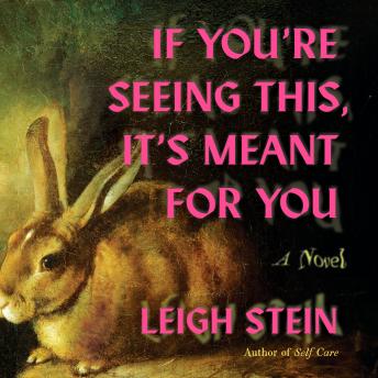 If You're Seeing This, It's Meant for You: A Novel