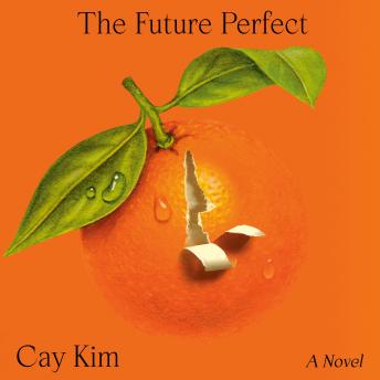 The Future Perfect: A Novel