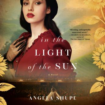 In the Light of the Sun: A Novel