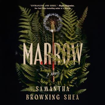 Marrow