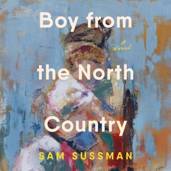 Boy from the North Country: A Novel