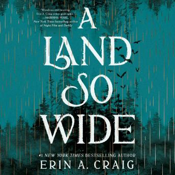 Land So Wide: A Novel Audiobook by Erin A. Craig