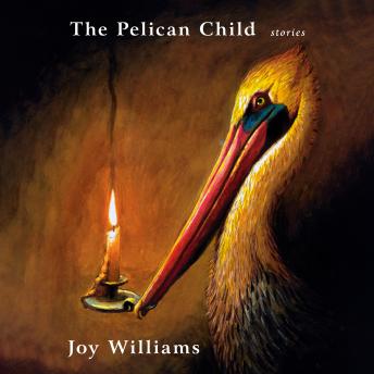The Pelican Child: Stories