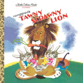 Tawny Scrawny Lion