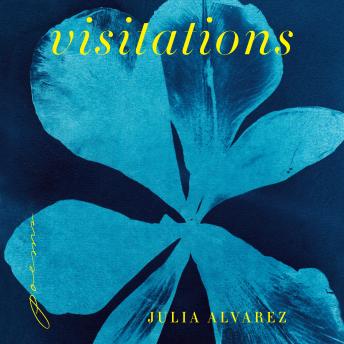 Visitations: Poems