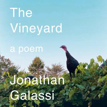The Vineyard: A poem