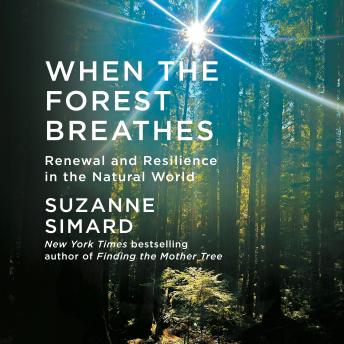 When the Forest Breathes: Renewal and Resilience in the Natural World