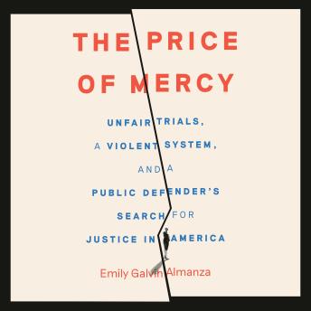The Price of Mercy: Unfair Trials, a Violent System, and a Public Defender's Search for Justice in America