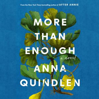 More Than Enough: A Novel