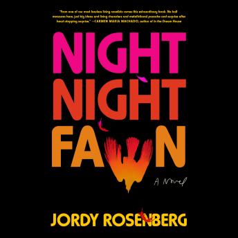 Night Night Fawn: A Novel