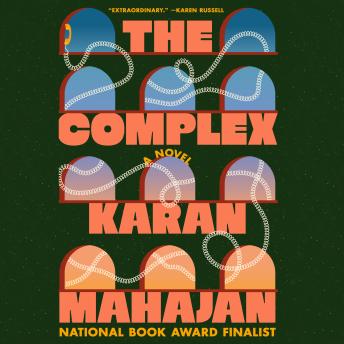 The Complex: A Novel