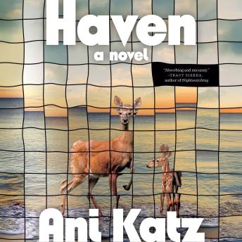 Haven: A Novel