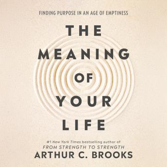 The Meaning of Your Life: Finding Purpose in an Age of Emptiness