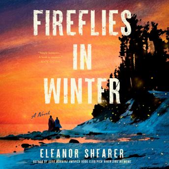 Fireflies in Winter