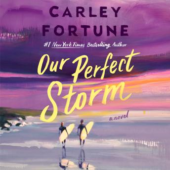 Our Perfect Storm