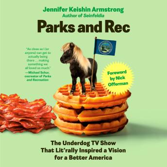 Parks and Rec: The Underdog TV Show That Lit'rally Inspired a Vision for a Better America