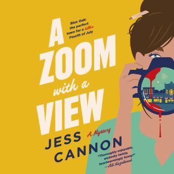 A Zoom with a View: A Mystery
