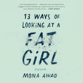 13 Ways of Looking at a Fat Girl: Fiction