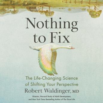 Nothing to Fix: The Life-Changing Science of Shifting Your Perspective