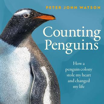 Counting Penguins: How a Penguin Colony Stole My Heart and Changed My Life