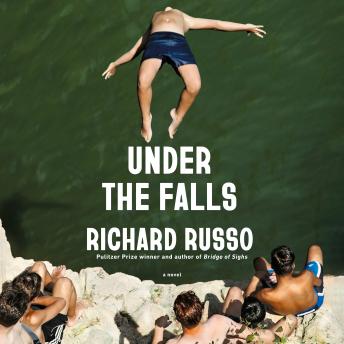 Under the Falls: A Novel
