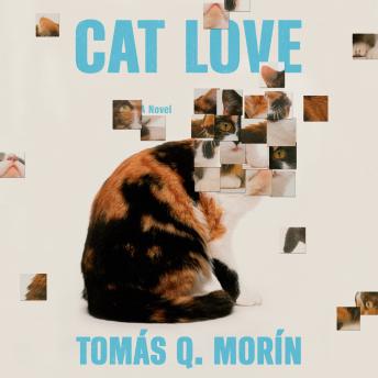 Cat Love: A Novel