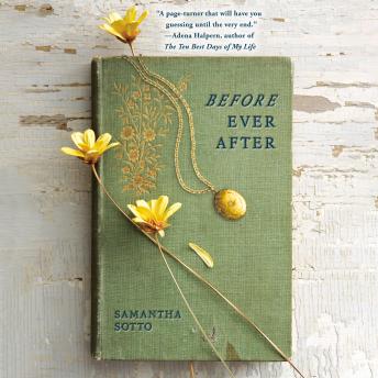 Before Ever After: A Novel