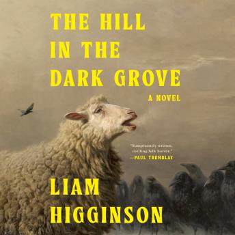 The Hill in the Dark Grove: A Novel