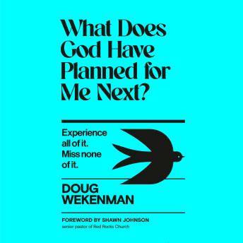 What Does God Have Planned for Me Next?: Experience all of it. Miss none of it.
