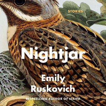 Nightjar: Stories