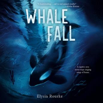 Whale Fall