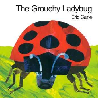 The Grouchy Ladybug