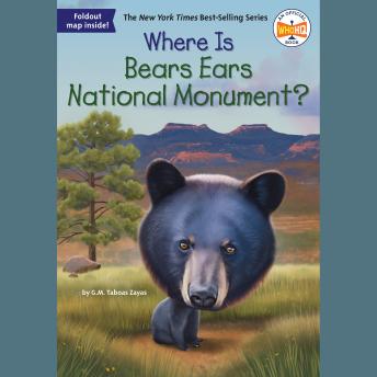Where Is Bears Ears National Monument?