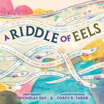 A Riddle of Eels