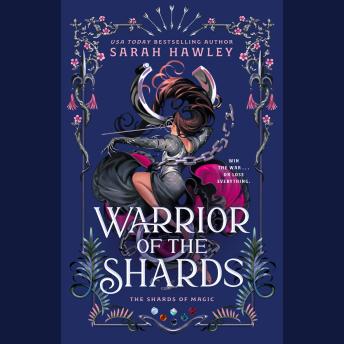 Warrior of the Shards