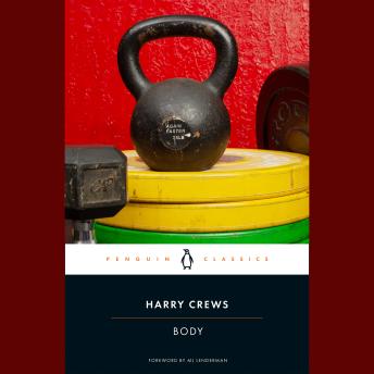 Body