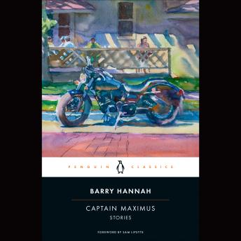 Captain Maximus: Stories