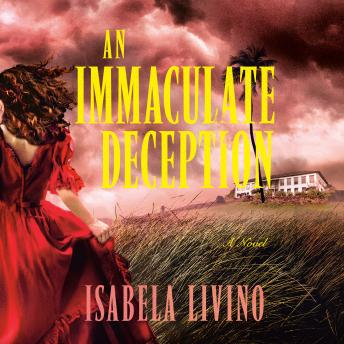 An Immaculate Deception: A Novel
