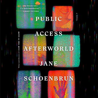 Public Access Afterworld: A Novel