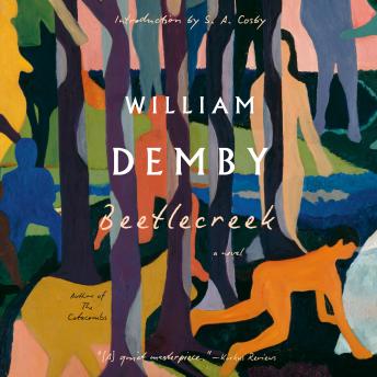 Beetlecreek: A Novel