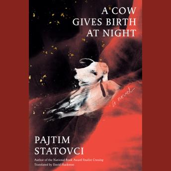 A Cow Gives Birth at Night: A Novel