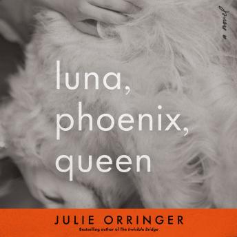 Luna, Phoenix, Queen: A Novel